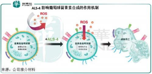 绕过抗药性问题 知临集团如何“冶炼”新武器，大战超级细菌