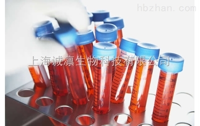 OED24K型酶制剂、抗生素发酵工业专用消泡剂-上海诚凛生物科技