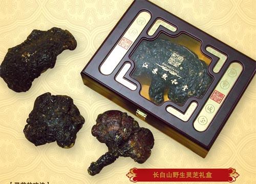 医药集团|江阴中药饮片,江阴中成药,江阴化学药制剂,江阴抗生素制剂